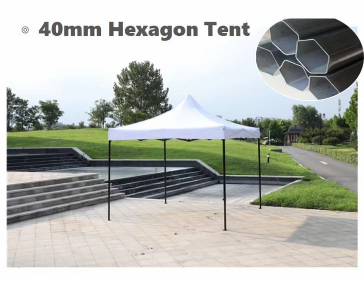 782c2d1b72af458d3f77d991aa81a29